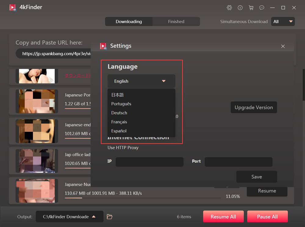 4kFinder supports language