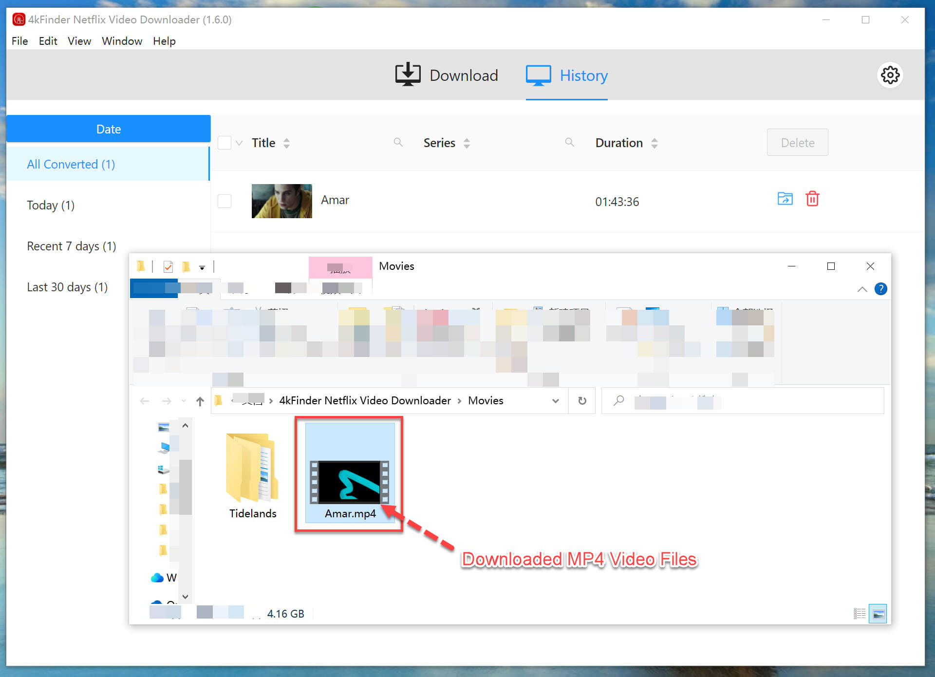 get downloaded Netflix video files