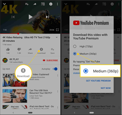 download youTube premium video