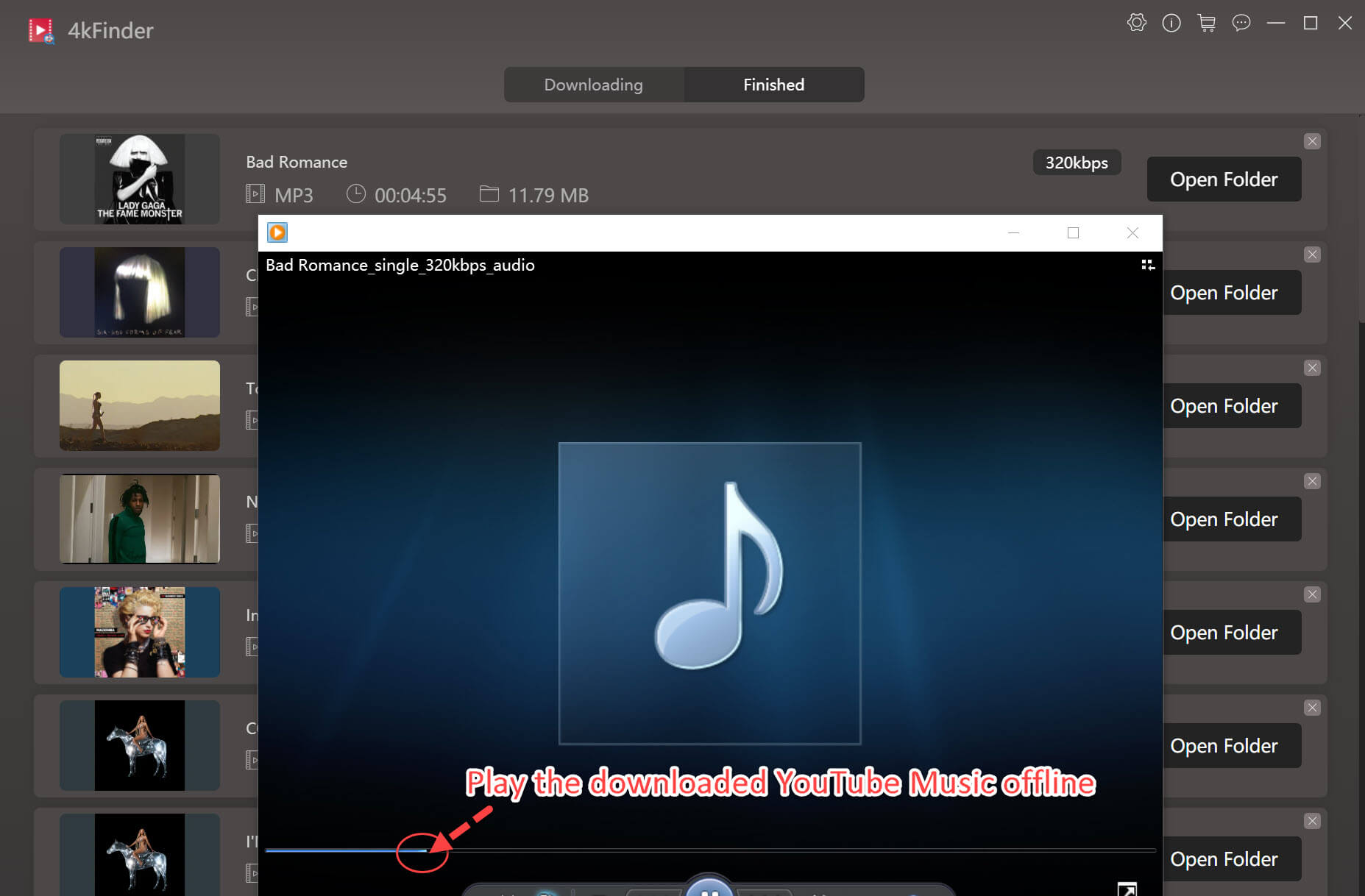 play youtube album offline