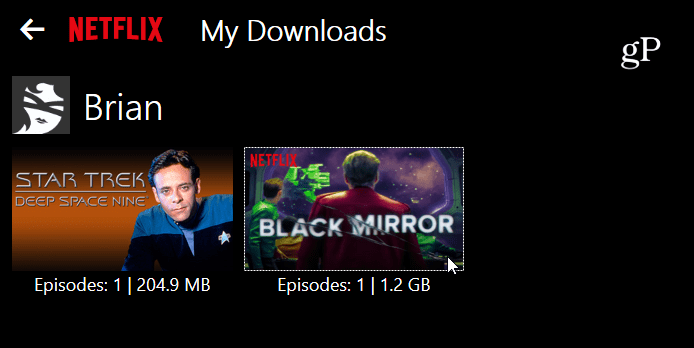 watch downloaded Netflix contents