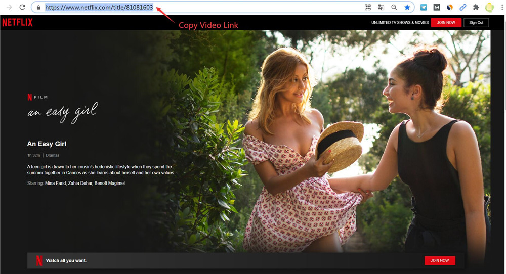 copy Netflix video link