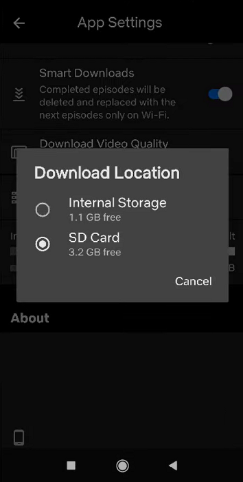 save Netflix to sd card