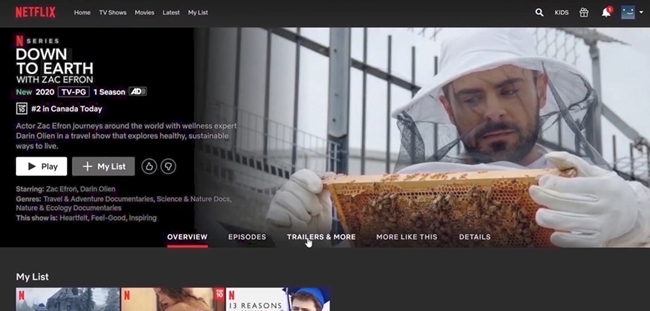 netflix page