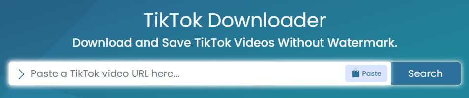 TikTok MP3 Downloader online